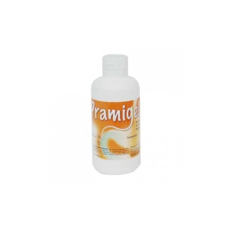 Pramigel Suspensión 180ml - Envío Gratuito